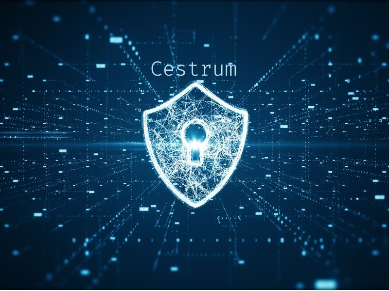 Cestrum Identity Service